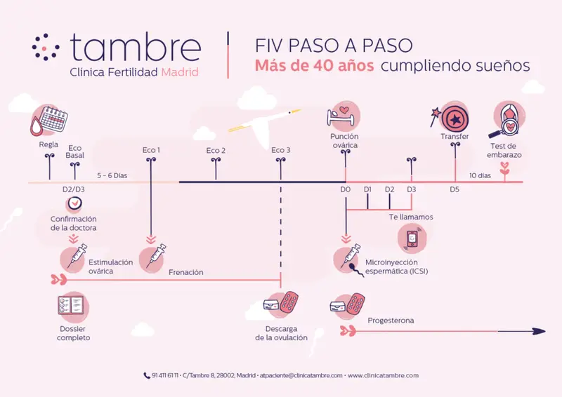 Diferencias entre inseminación artificial y fecundación in vitro