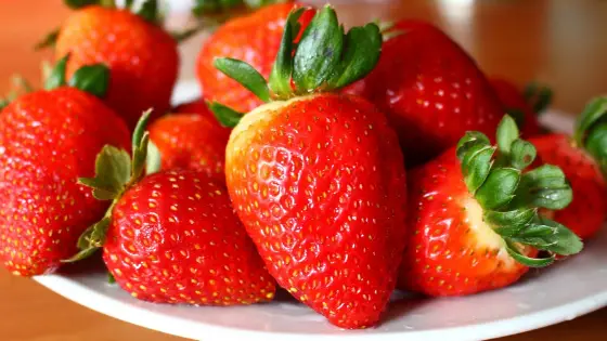 Plato de fresas