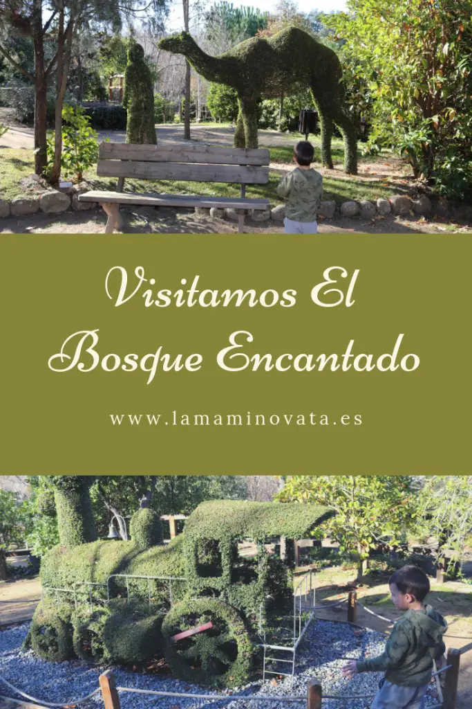 Visitar El Bosque Encantado, un lugar perfecto en la naturaleza