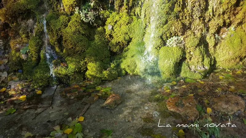 Cascada de Cívica