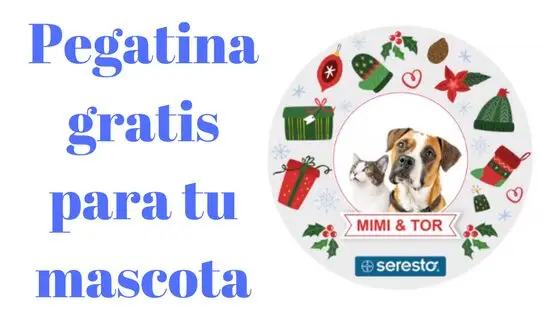 Muestras gratis para bebes y embarazadas de Diciembre