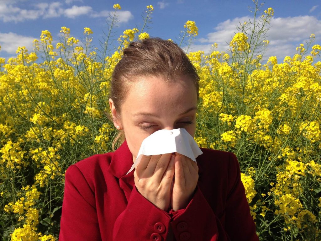 Llega la temporada de alergias