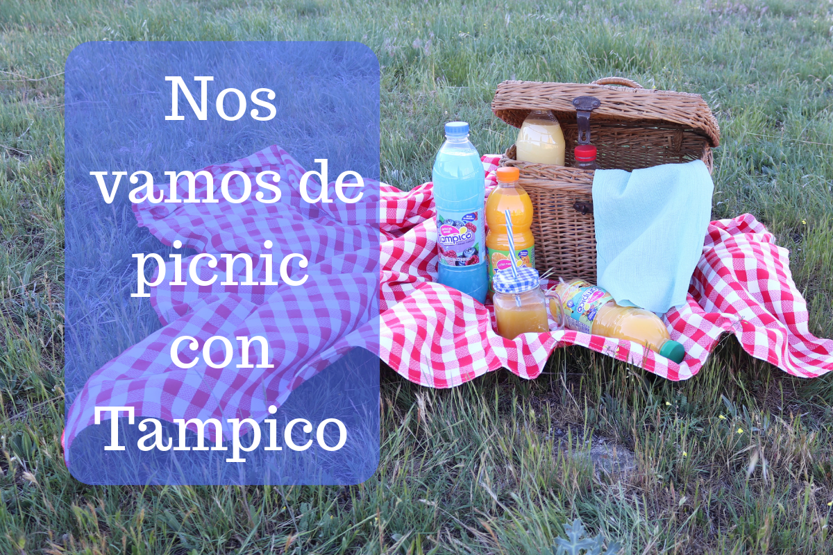 Nos vamos de picnic con Tampico
