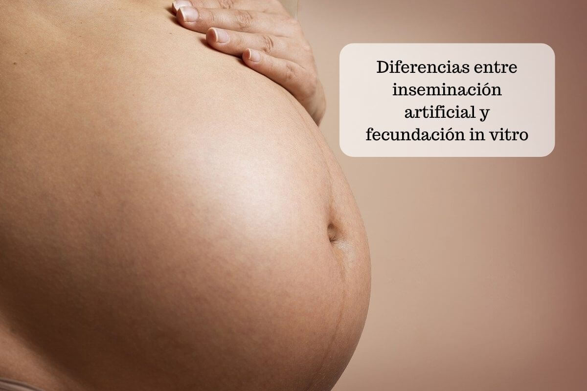Diferencias entre inseminación artificial y fecundación in vitro